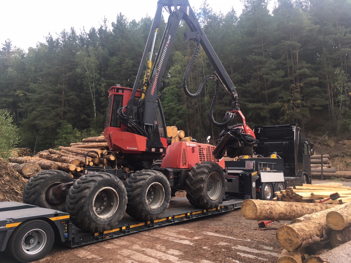 Holzschlägerung