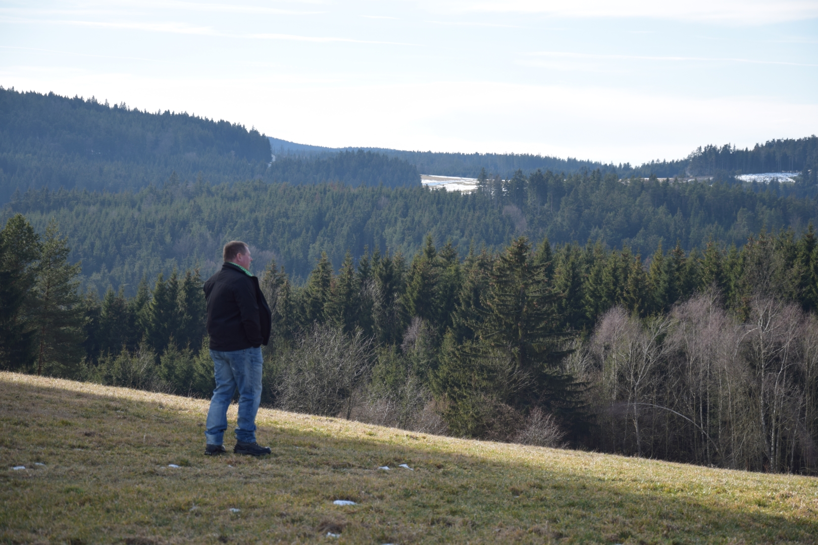 Wald
