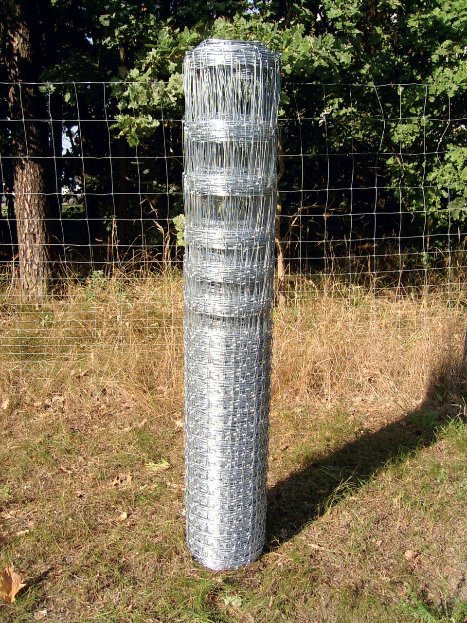 Zaun